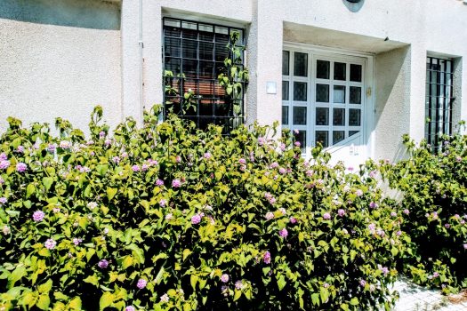 Помещение под офис продажа на Северном Кипре