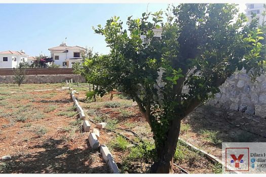 3+2 вилла на продажу на Северном Кипре