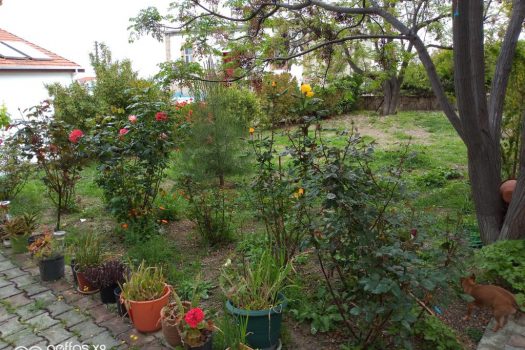 3 спальная вилла на продажу в Лапте / Кирения