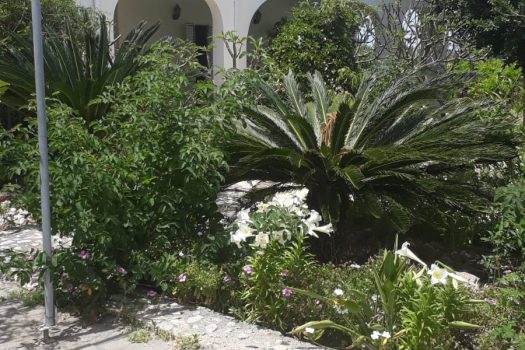 ПРОДАЕТСЯ БОЛЬШАЯ ОТДЕЛЕННАЯ ВИЛЛА